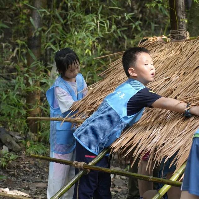 【国庆研学第一弹】栖霞山“我的森林地图”研学招募！五感森林探险、星空夜话会齐上阵！