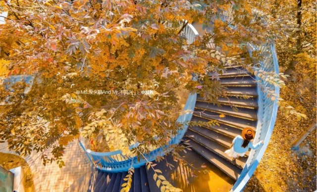 网红纷纷奔赴这！上海这座通往 “欧洲城堡” 的绝美旋梯火了！