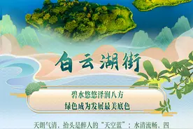 云起新篇⑬｜白云湖街：碧水悠悠泽润八方，绿色成为发展最美底色图片