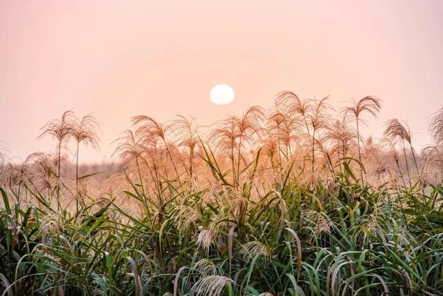 现在的宜兴，已经美成这样了……