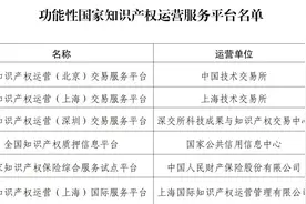 12家功能性国家知识产权运营服务平台获认定！附名单图片