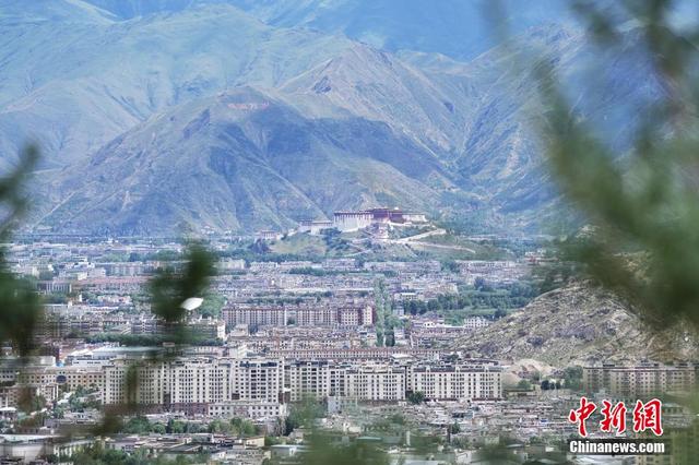 世界屋脊上的“绿色奇迹”：拉萨南北山绿意盎然