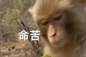 看“痘痘”不顺眼，女孩一个举动把自己挤进医院图片