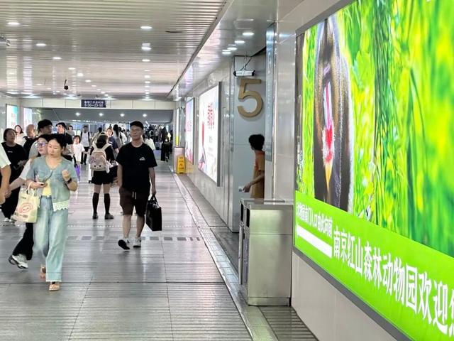 这个假期，南京温度刚刚好！