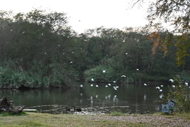 首个秋假，莲都这里有点“火”！