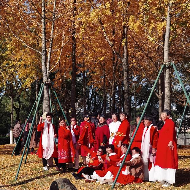 晚潮｜深秋里的鎏金飞雪