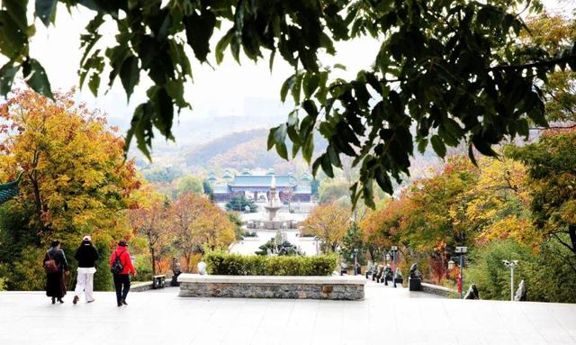 威海这个4A级旅游景区免费！登山看海+千年祈福，初冬盛景不辜负