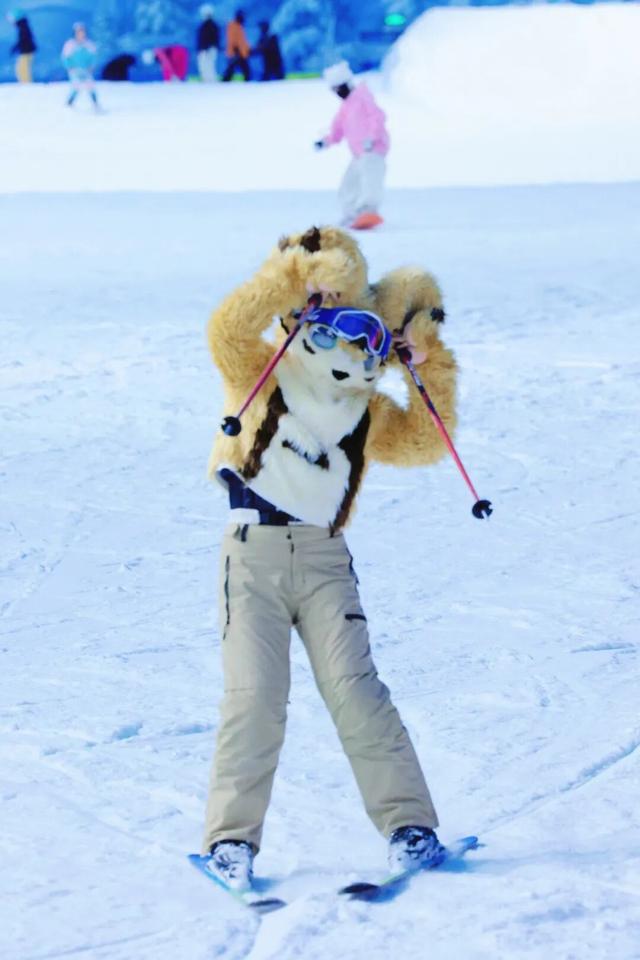 一秒入冬，雪狐奇遇！武汉市中心藏了个冰雪乐园
