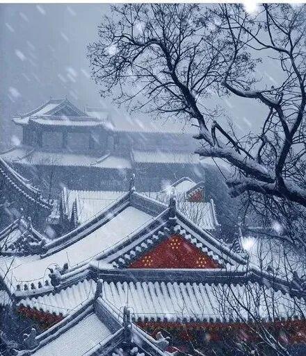 赵传山：十里长堤话沧桑