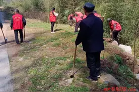 沅陵七甲坪镇：植一片绿色 美一方家园图片
