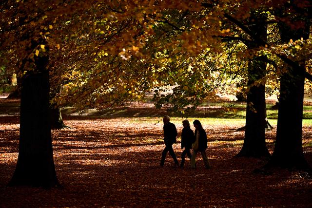 （外代一线）秋日欧洲