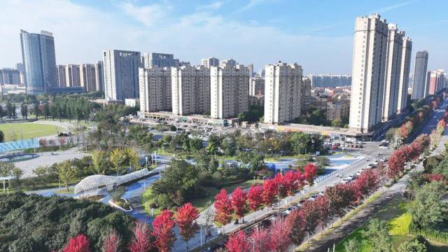 红了~红了，来宿城追“枫”！