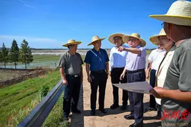 沈晓明检查督导华容县团洲垸防汛抗灾和灾后重建工作图片