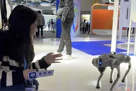 亚运“机器狗”伴游数贸会，化身讲解员比心卖萌图片