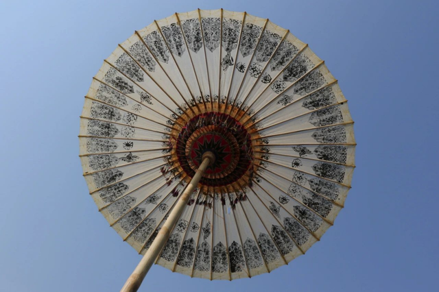 叩响非遗之门 行囊装满云南