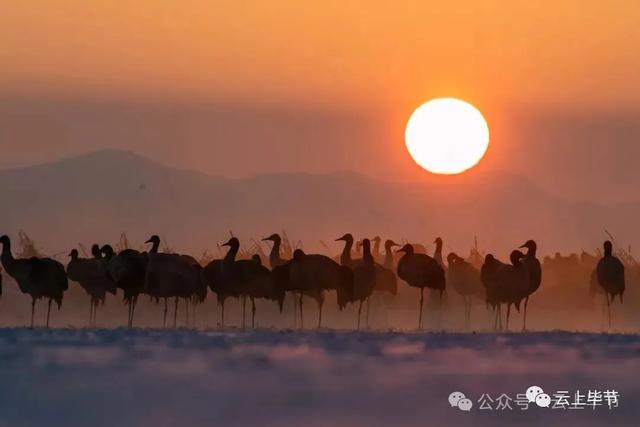 最高奖金50000元!所有人可参与