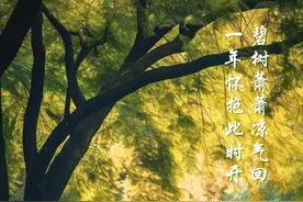 AI绘节气 | 秋风初起，万物渐收图片