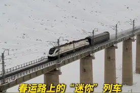 火车头怎么只拉一节车厢？网友：“小可爱”，很可爱！图片