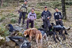 “职业猎人”月薪过万，飞手、机油手各司其职 有团队一年投入百万元图片