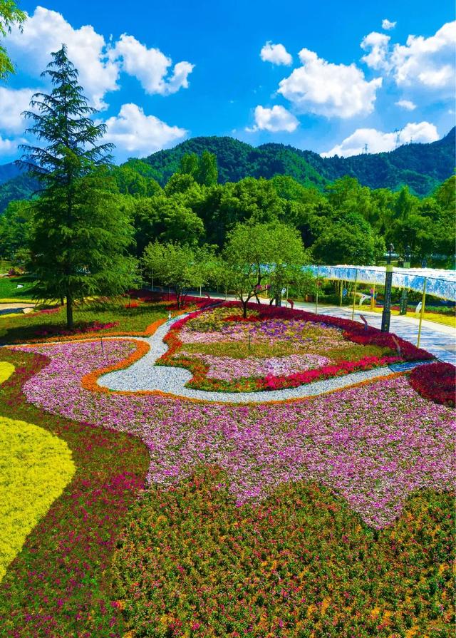 豫见两山 绿色答卷丨生态之旅——打卡“中原肺叶”栾川县