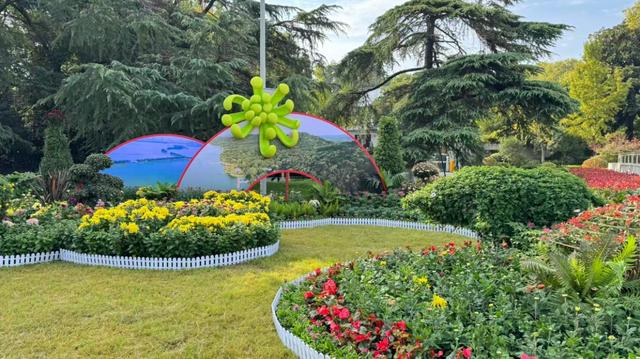 抢先打卡！东湖梨园菊香漫，秋日盛宴引客至