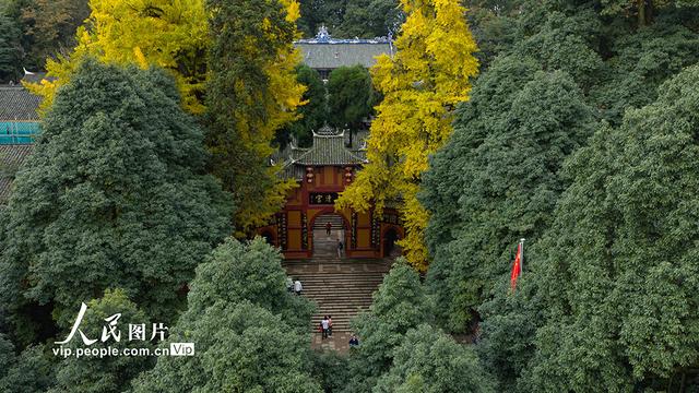 四川都江堰：青城山景区秋色美如画
