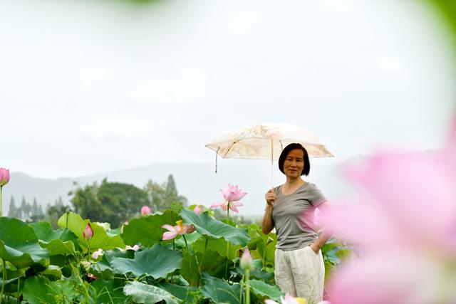 通城：享受夏日荷塘美景