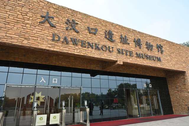 沿着黄河遇见海｜大汶口遗址：黄河下游的文明曙光