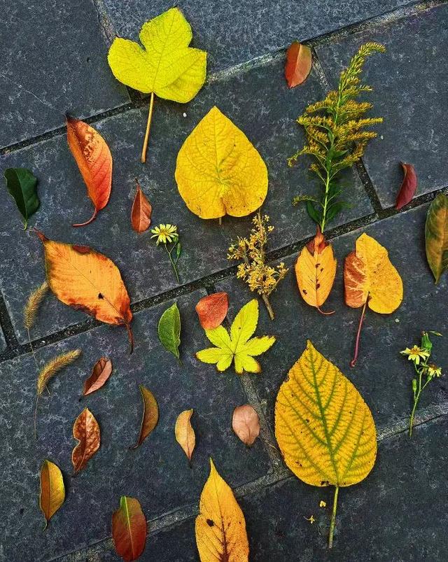 出发！快来奉化，“捡秋”啦！