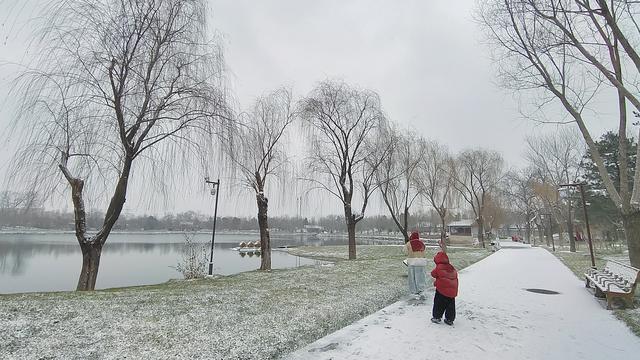 京城初雪如约而至！雪落无声，人游有影
