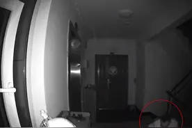 男子跑山东一小区女业主家门口偷闻鞋？物业：已报警，去年抓到2个图片