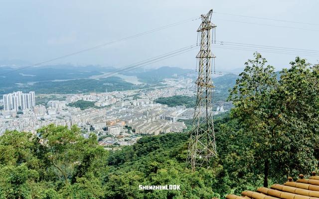 这，就是深圳