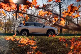 试驾|奇骏“带电”闯吉林，超300公里城市+高速+国道体验图片