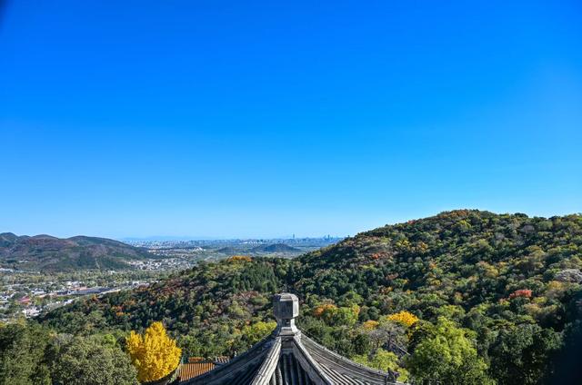 香山赏红迎来最高峰！无特殊天气彩叶还将持续一周