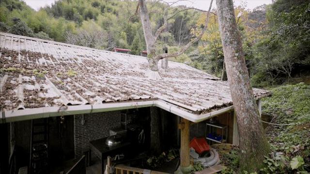 8个好友在福建抱团山居：减少物欲，尝试在山里养育下一代