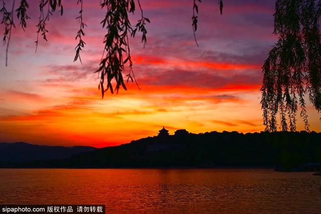 准备拍照！七夕，天边为您烧出限定版“玫瑰海”！
