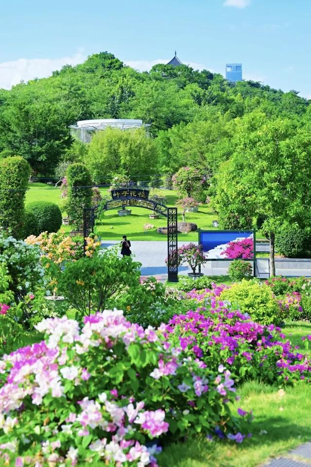 免费！优惠！明天来南宁，过重阳不“重”样！