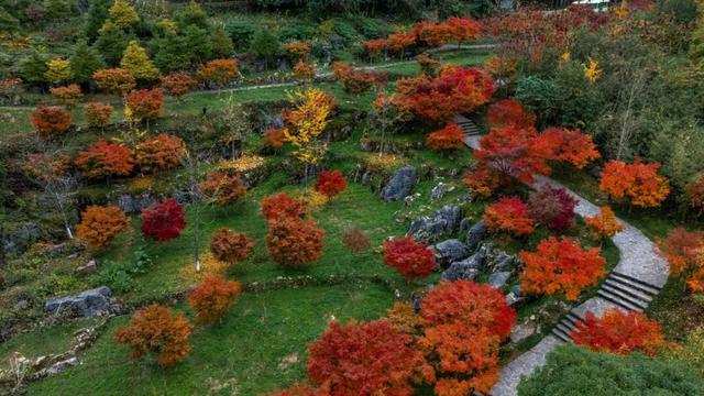 来宣恩矅天眼，看万山红遍，层林尽染！