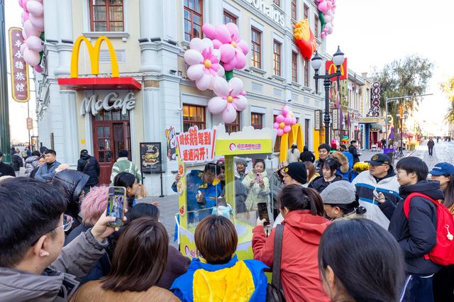 全城偶遇！哈尔滨被“淘学企鹅”小分队占领啦！