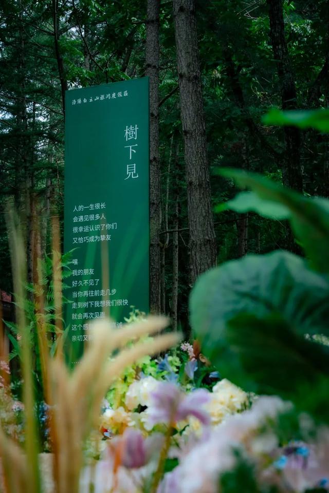 国庆出游白云山不踩坑、不迷路、超详细，这篇就够了！
