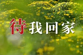 待我回家，代我回家，带我回家！图片