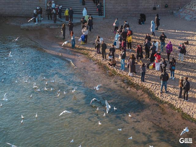 青岛冬日的海，是这座城市的浪漫注脚