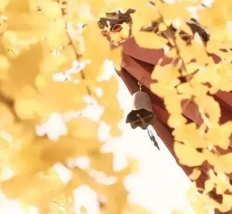 这些出片圣地，人少景美速收藏！