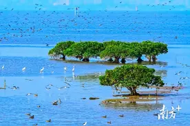 深圳首创！企业降碳能获贷款利率优惠图片