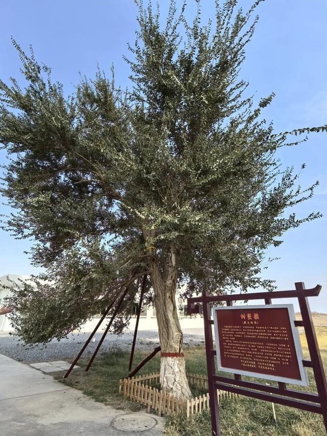 1500米的天地之约——神舟二十一号转运现场侧记
