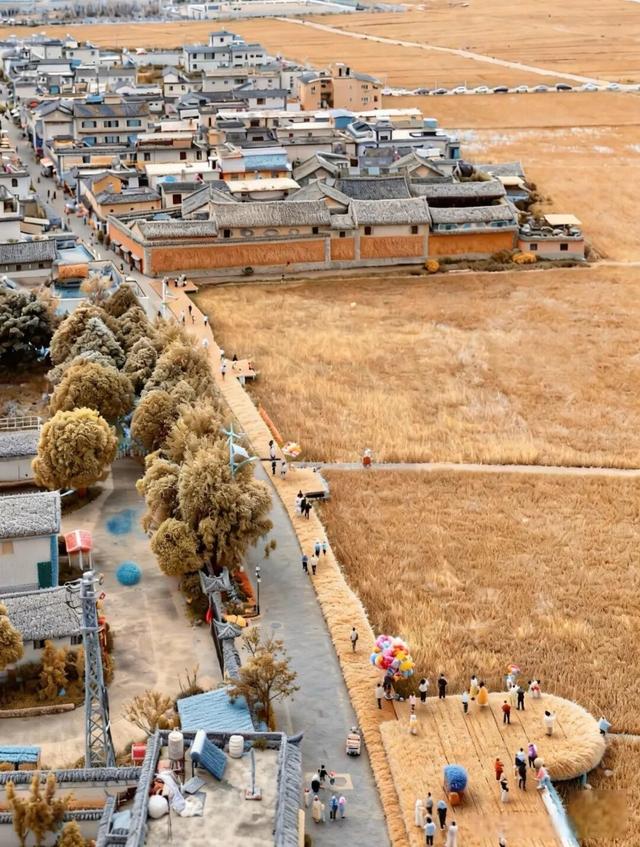 萌化了！大理全城“穿”毛衣~