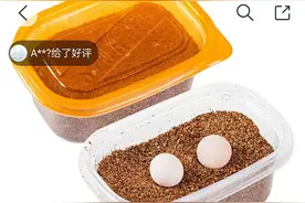 新闻CT | 生鲜平台干起“花鸟市场”的活儿，“农产品”为何当“宠物”在卖？图片