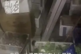 上海一平价蔬果店人气爆棚!打烊后一幕被曝光…图片