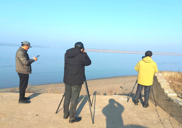 候鸟栖息铁锚洲 十年禁渔成美景