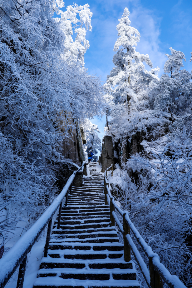 天呐，洛阳的这份「反差感」，绝了！